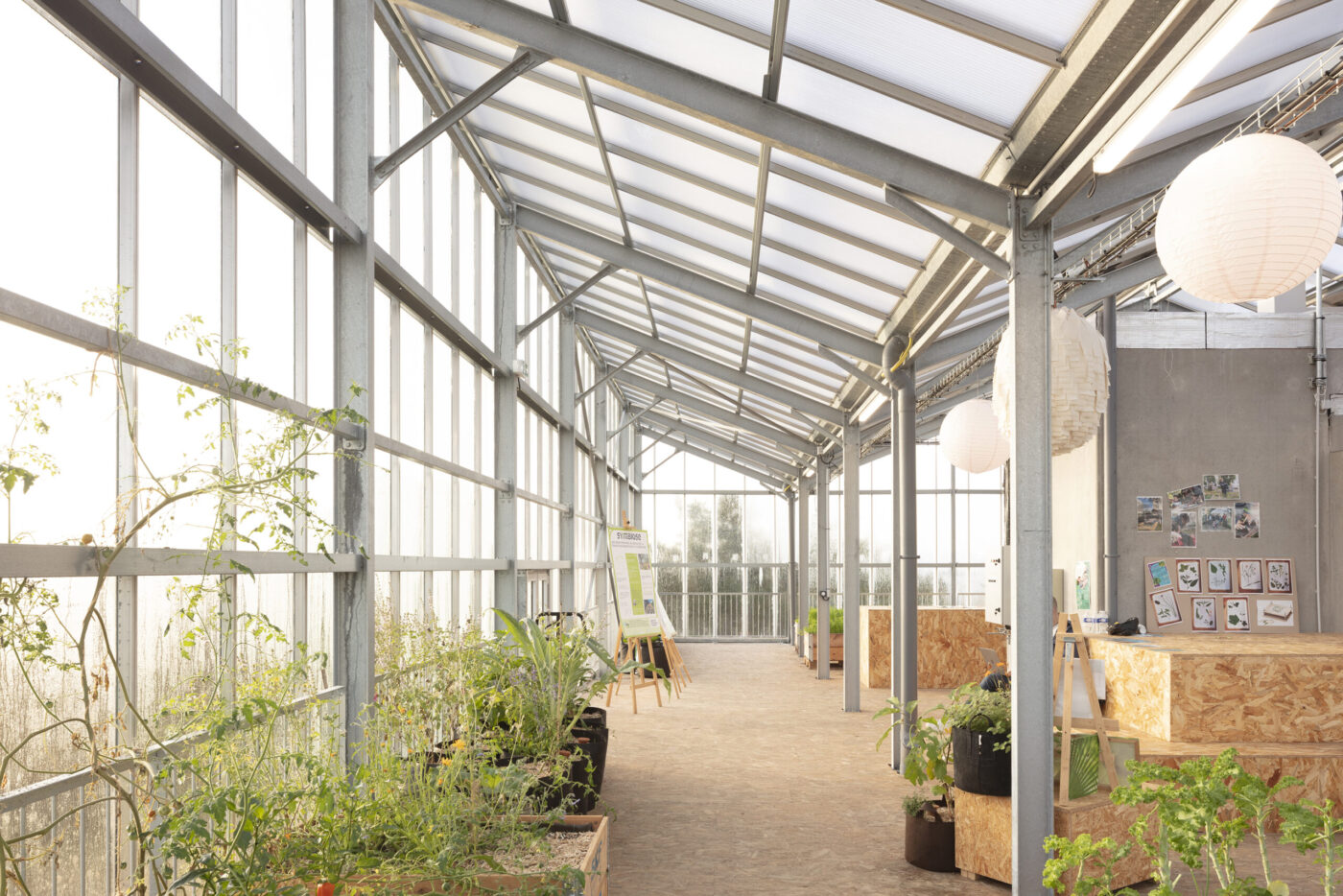 Symbiose ferme urbaine