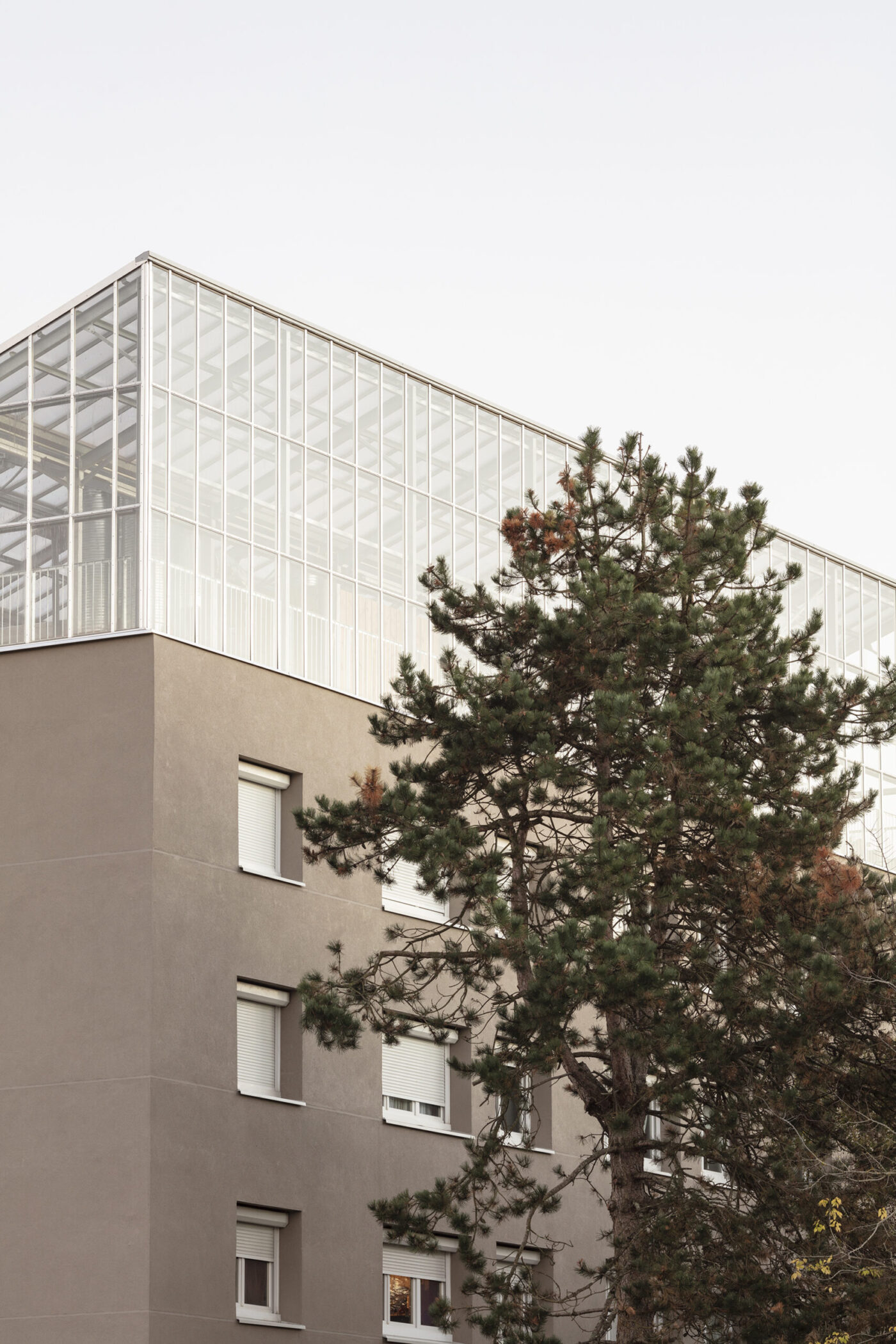 Symbiose ferme urbaine