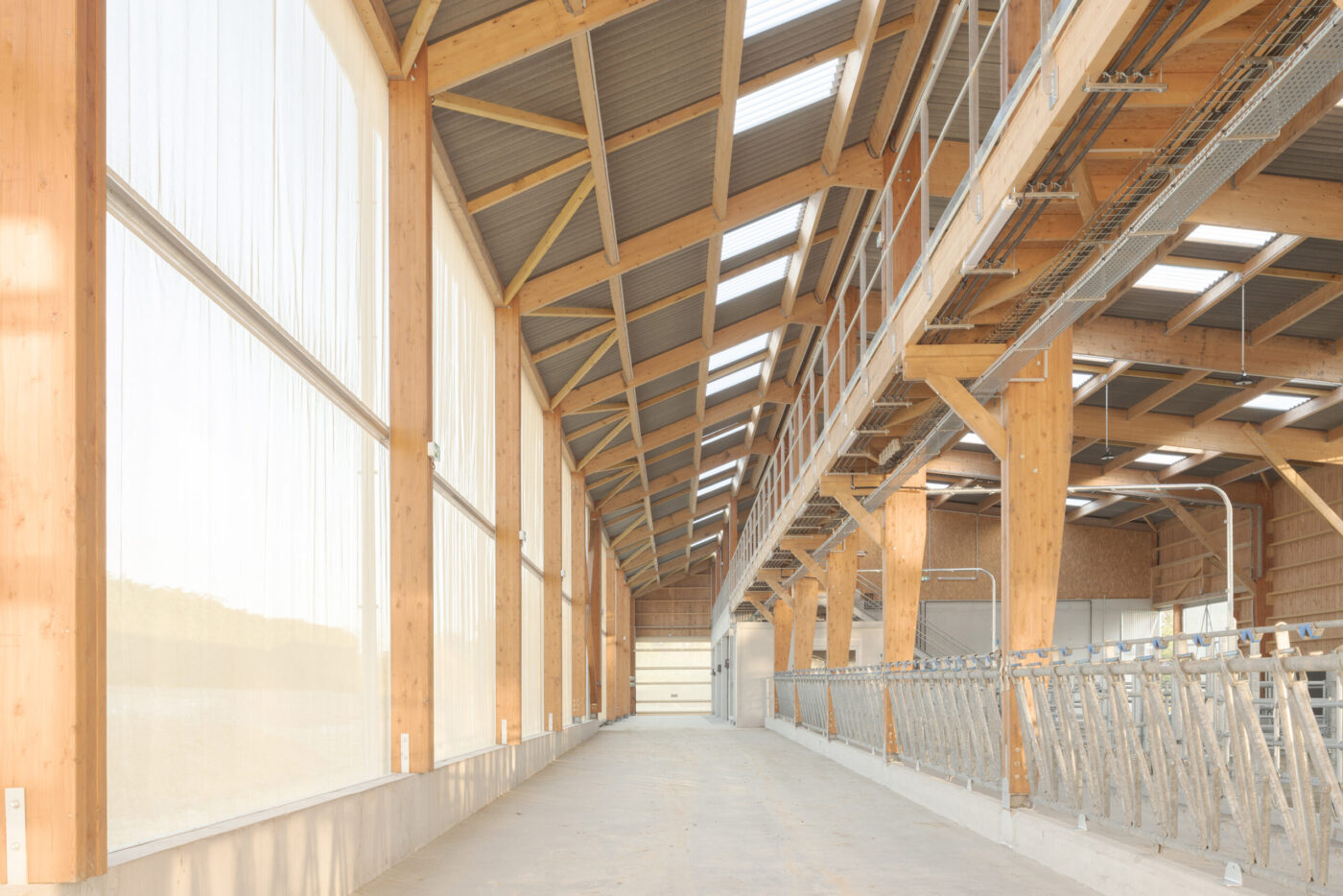 Bâtiment élevage bovin, Claas architectes