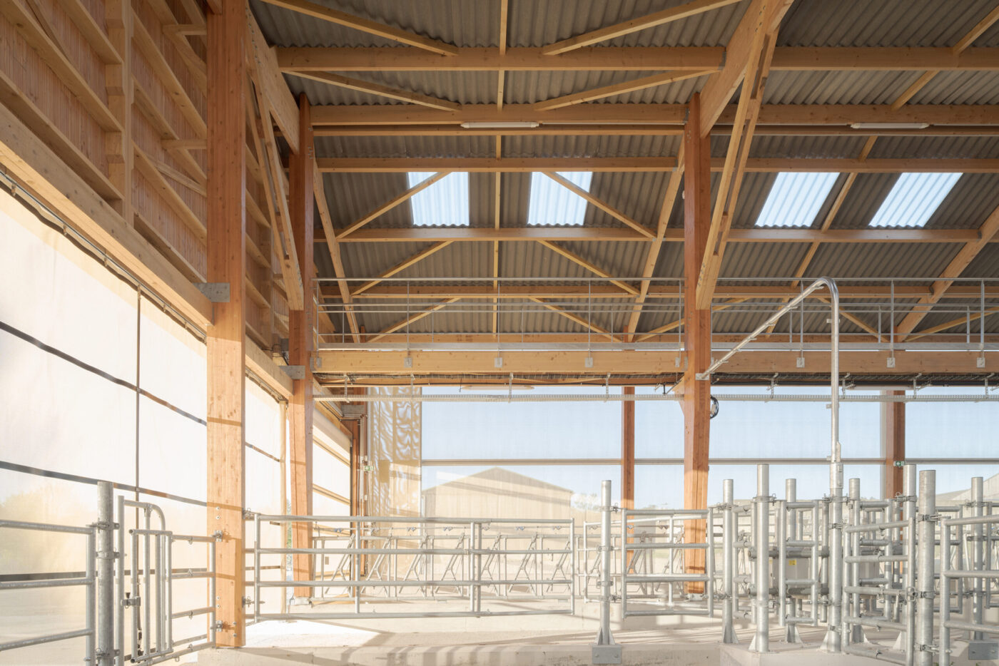 Bâtiment élevage bovin, Claas architectes