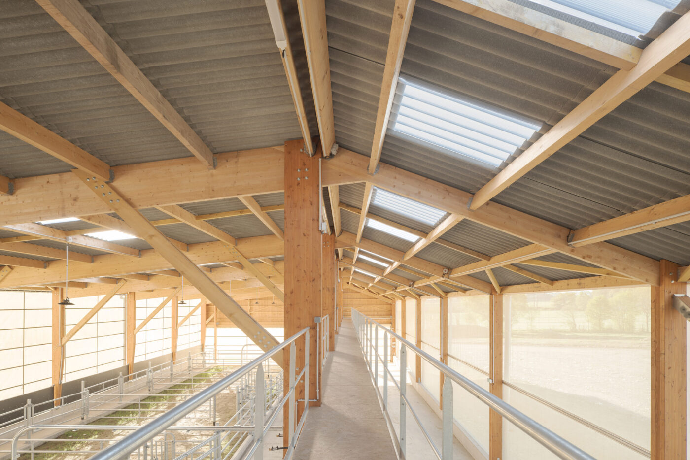 Bâtiment élevage bovin, Claas architectes