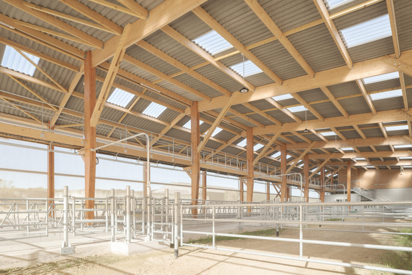 Bâtiment élevage bovin, Claas architectes